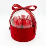 Trandafiri artificiali roșii în cupolă transparentă, cadou ideal pentru ea, cu cutie din catifea roșie și panglică decorativă care nu se ofilește.